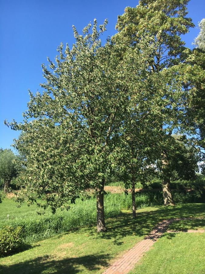 Landelijk Appartement In Een Mooi Recreatiegebied Abcoude Zewnętrze zdjęcie